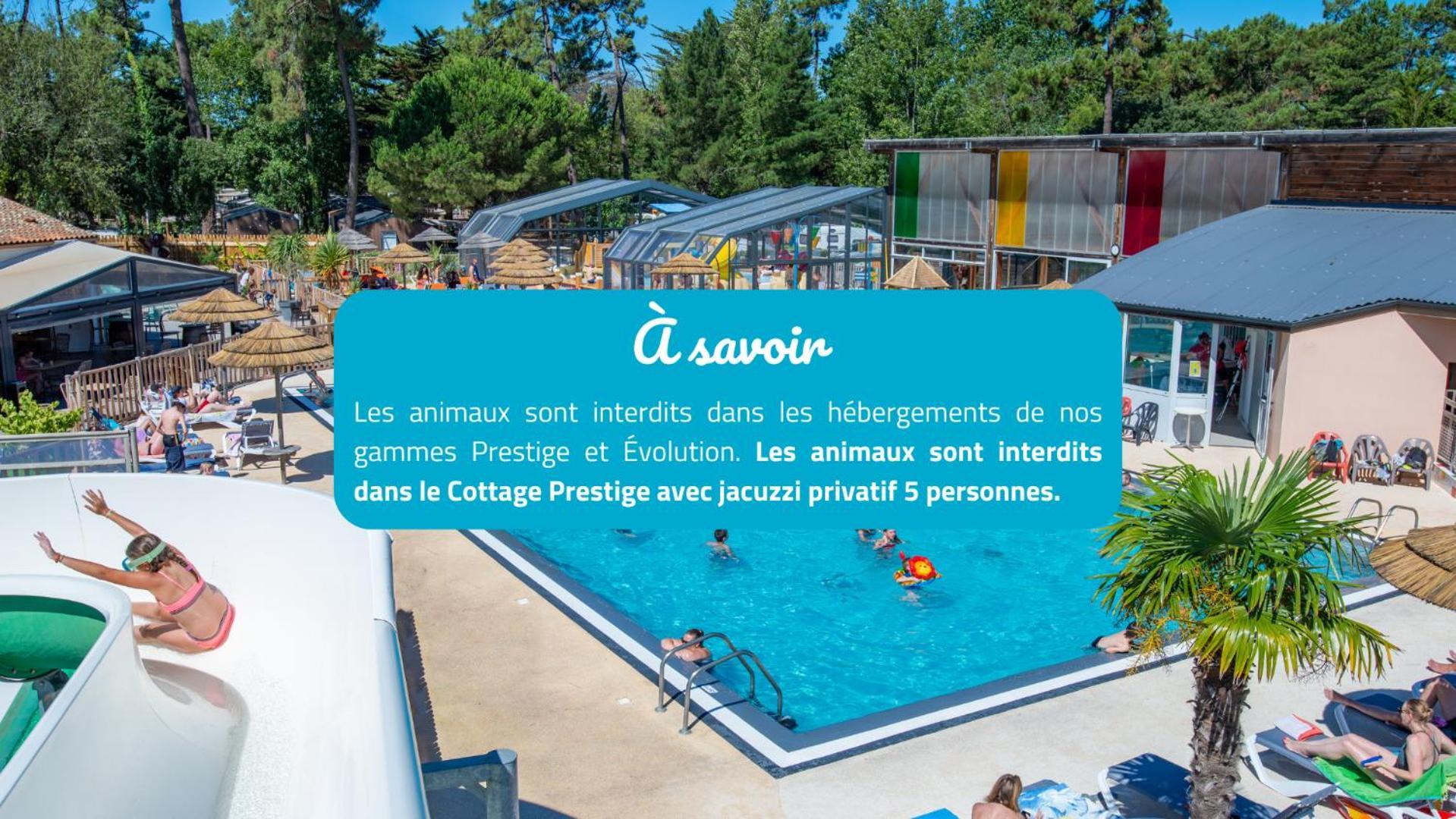 Camping Signol Boyardville 외부 사진